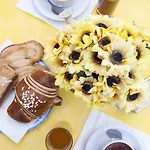 Hotel Casa Cigliano Forio di Ischia