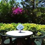 Casa Cigliano Hotel Forio di Ischia