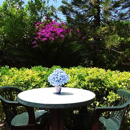 Casa Cigliano 3* Форио