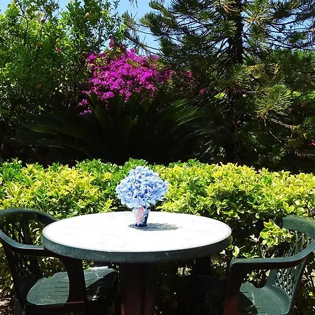 Casa Cigliano Ξενοδοχείο Forio di Ischia