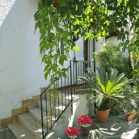 Casa Cigliano Forio (Isola d'Ischia)