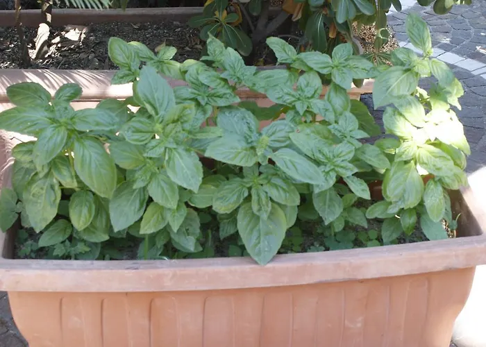 Casa Cigliano Отель 3*